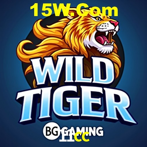 Login Seguro 11cc